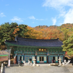 대한불교조계종 선학원 보광사