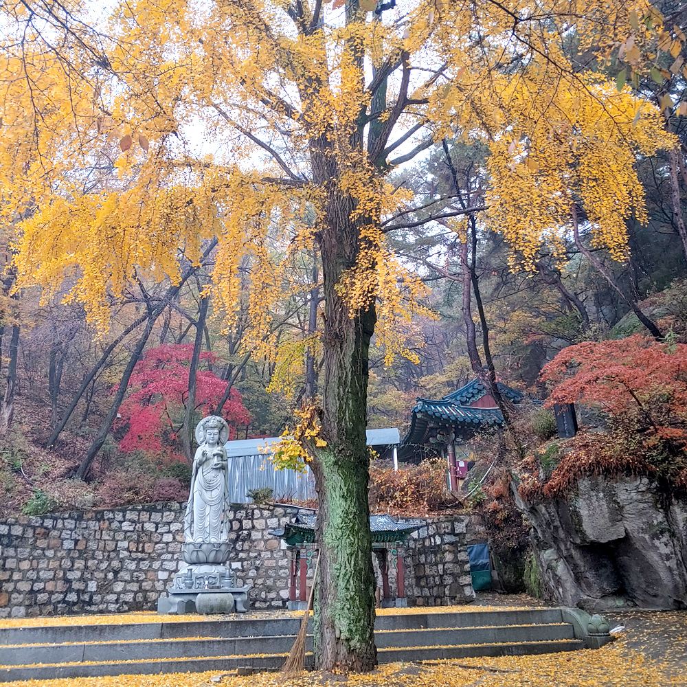 대한불교조계종 삼성암