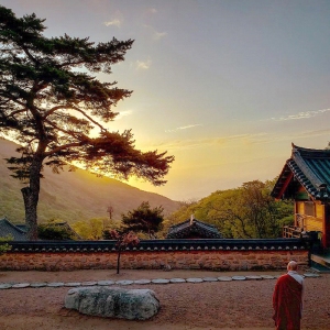 대한불교조계종 교구본사 제14교구 범어사