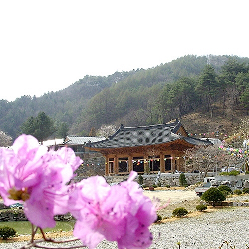 대한불교조계종 성원사