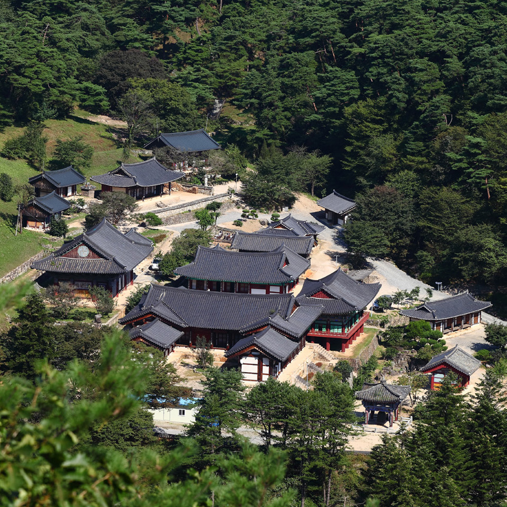 대한불교조계종 김룡사
