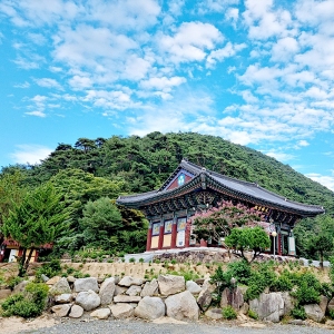 대한불교조계종 교구본사 제16교구 고운사