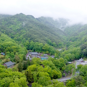 대한불교조계종 교구본사 제13교구 쌍계사