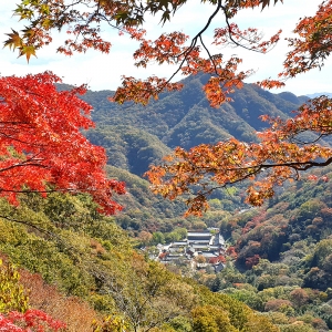 대한불교조계종 교구본사 제18교구 백양사