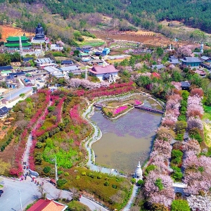 세계불교미륵대종 총본산 남미륵사