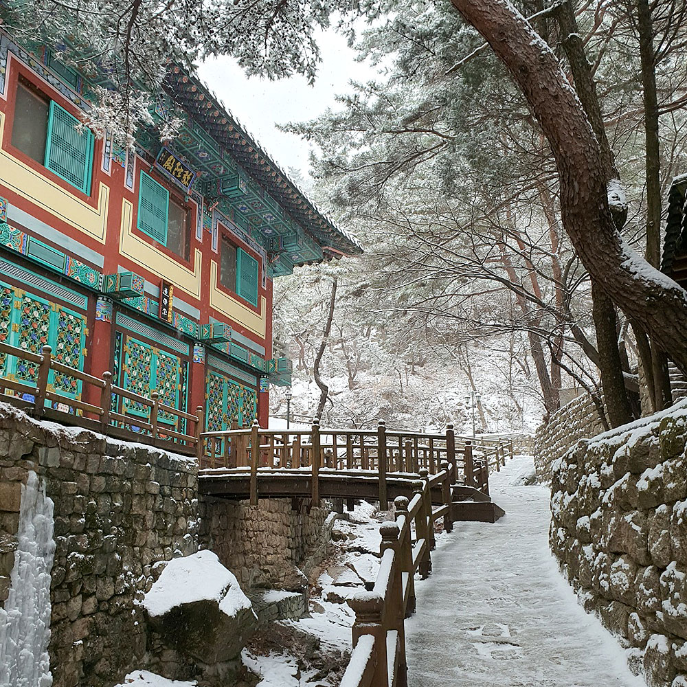 대한불교조계종 금선사