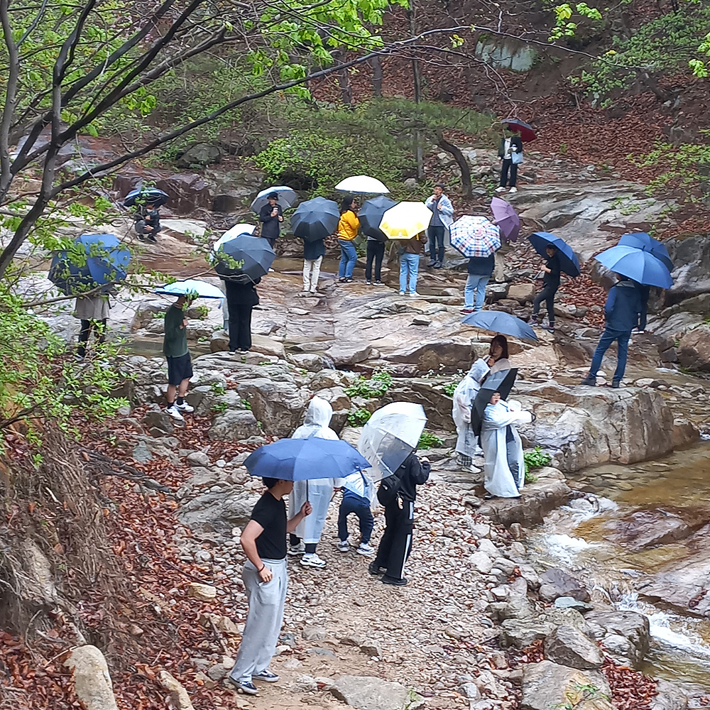 삼운사 템플스테이