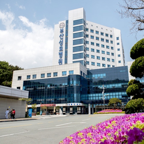 부산성모병원