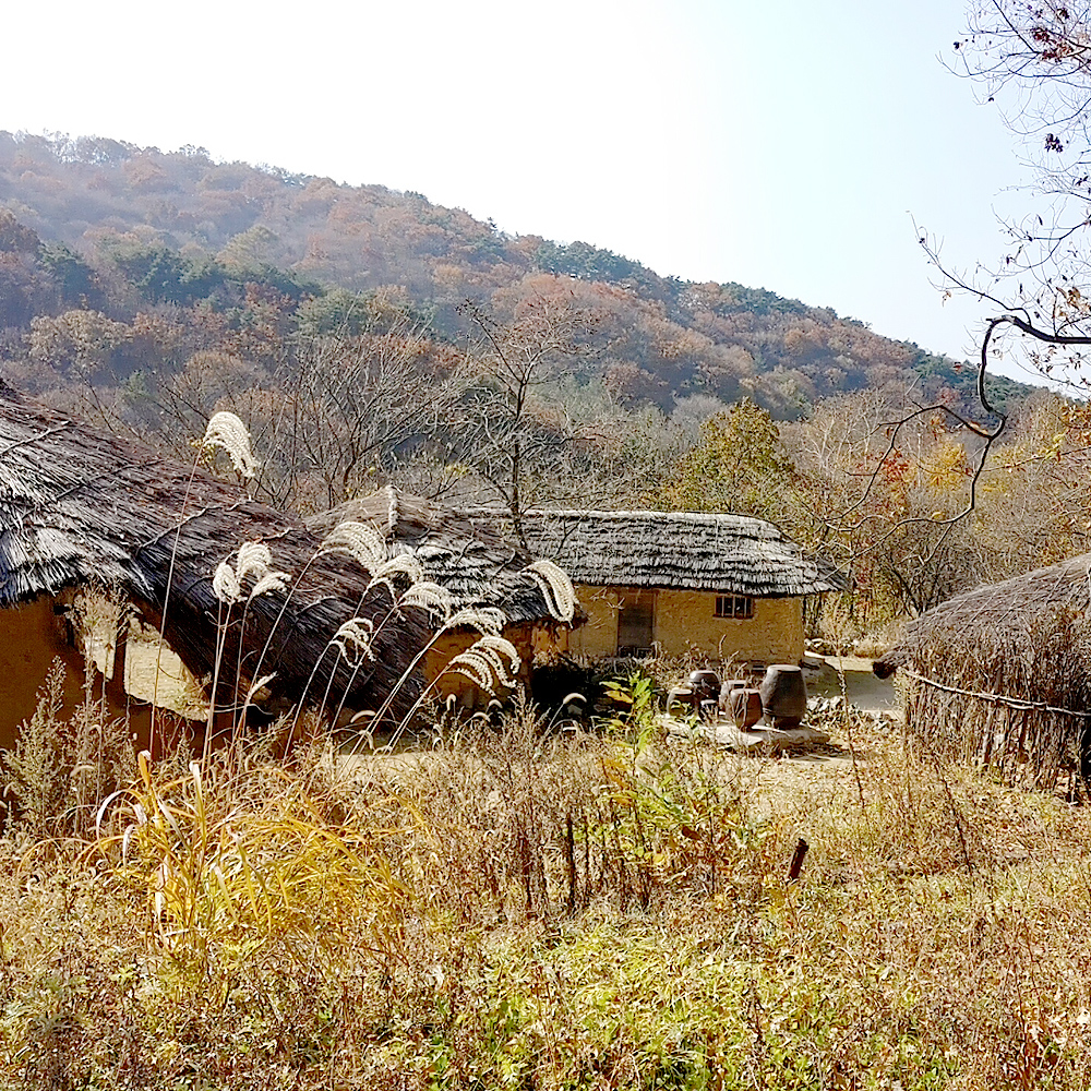 한티순교성지 한티가는길