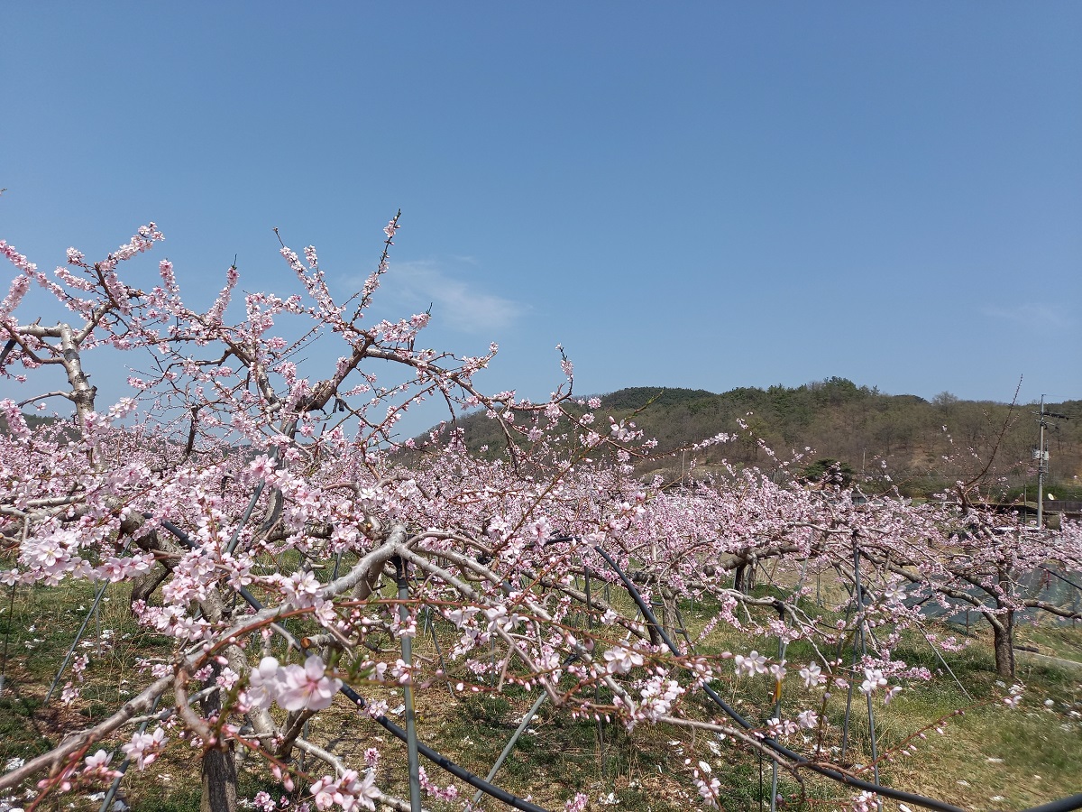 2f12a12fd0e1480665bca2ba0e6498d5_1753946660_97.jpg 2f12a12fd0e1480665bca2ba0e6498d5_1753946660_97.jpg