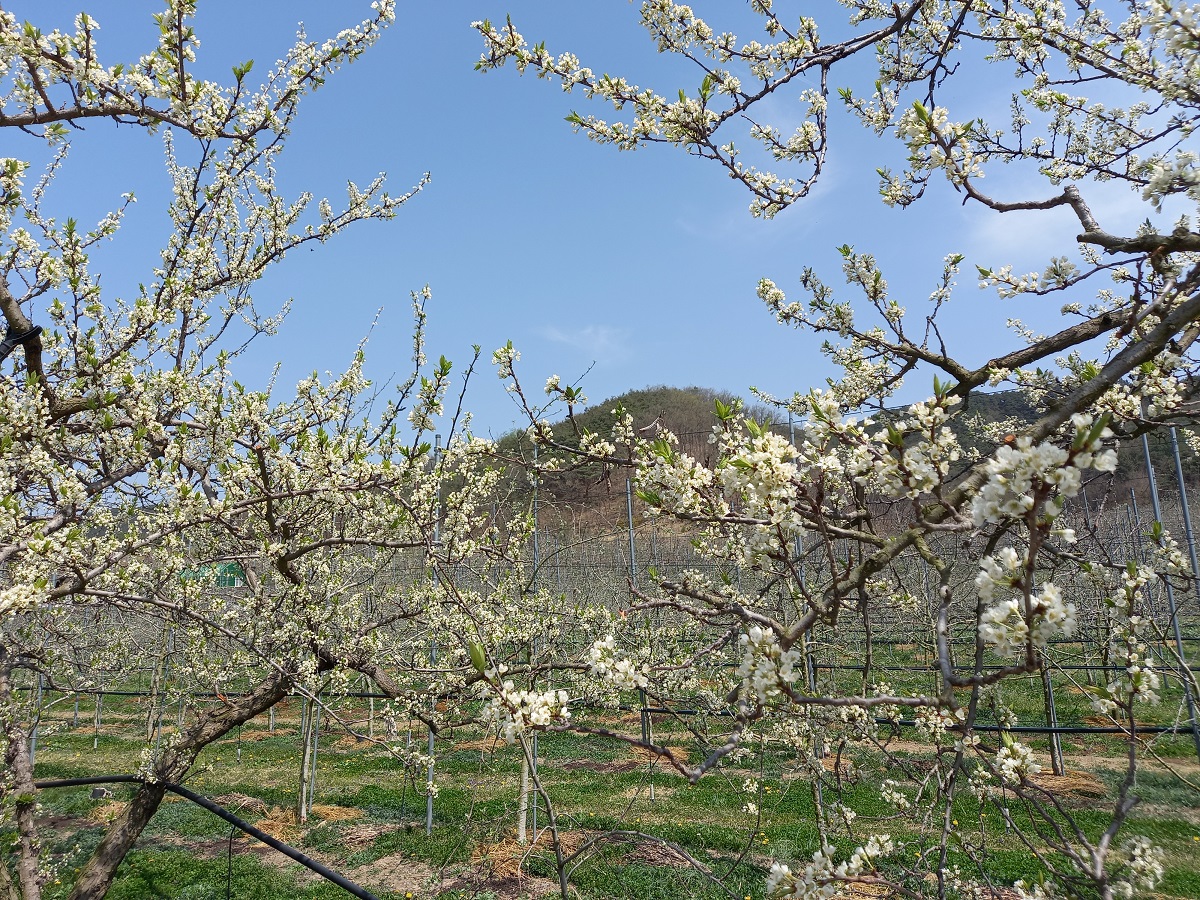 2f12a12fd0e1480665bca2ba0e6498d5_1753946661_22.jpg 2f12a12fd0e1480665bca2ba0e6498d5_1753946661_22.jpg