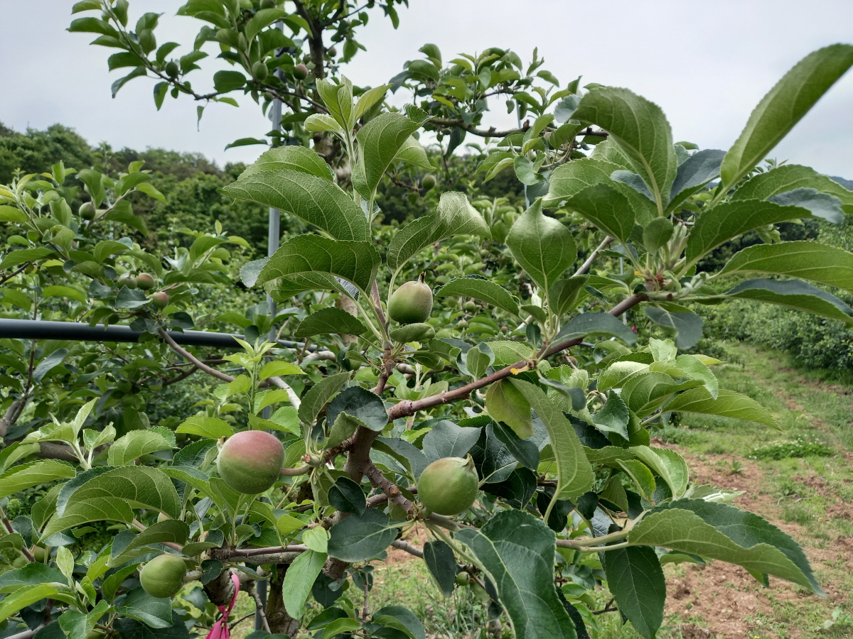 2f12a12fd0e1480665bca2ba0e6498d5_1753946661_67.jpg 2f12a12fd0e1480665bca2ba0e6498d5_1753946661_67.jpg