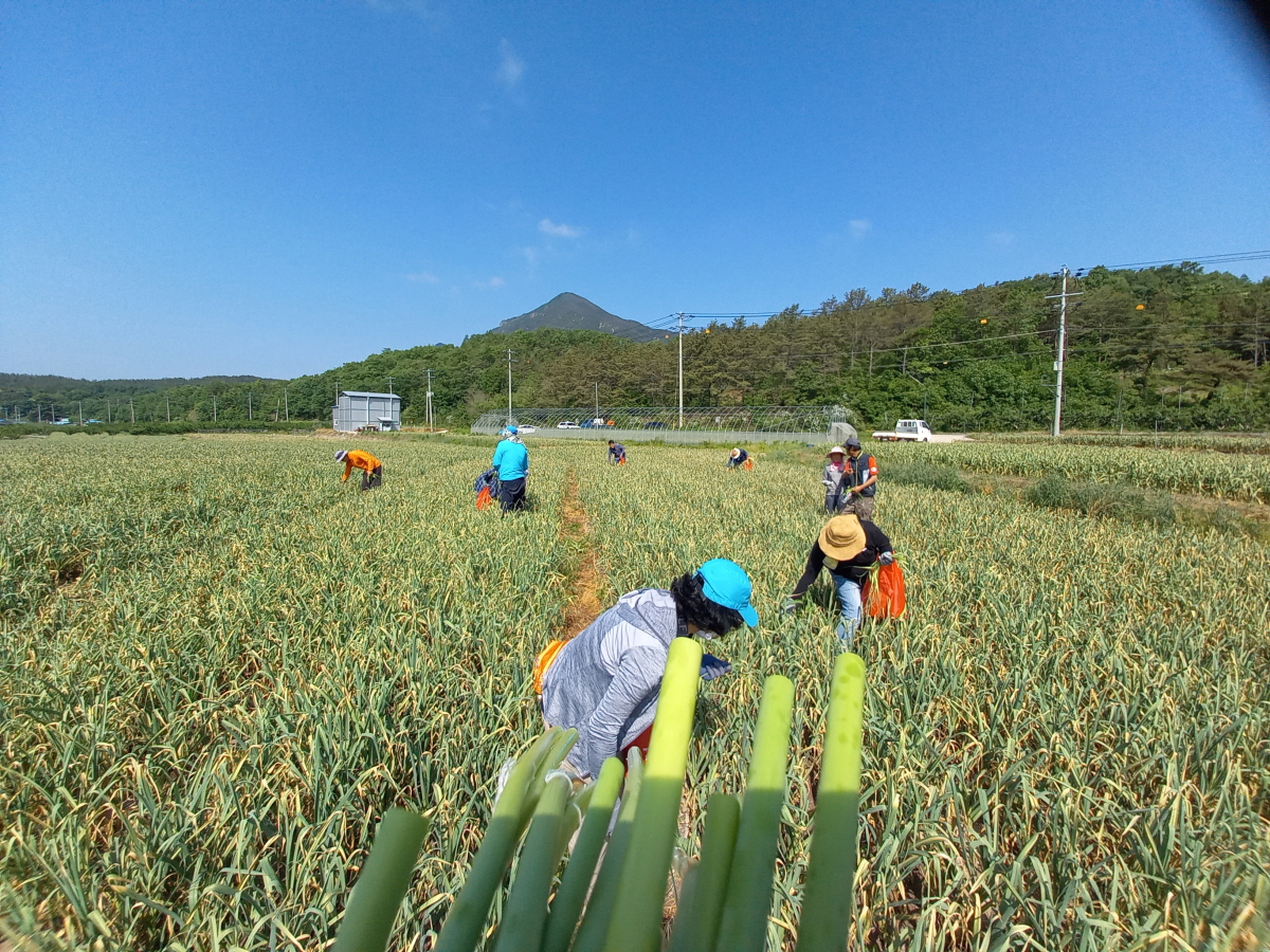 2f12a12fd0e1480665bca2ba0e6498d5_1753946667_18.jpg 2f12a12fd0e1480665bca2ba0e6498d5_1753946667_18.jpg