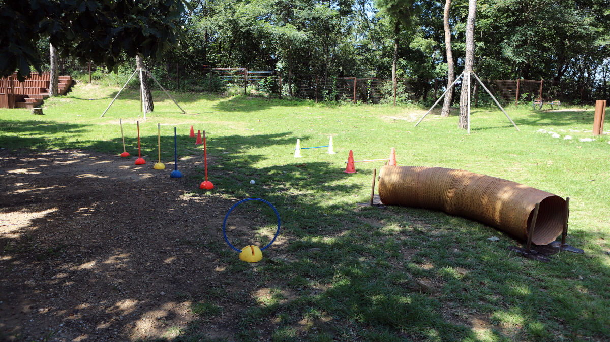 47cbd5ae1cd6b1bc289570483af93f77_1754411687_44.jpg 47cbd5ae1cd6b1bc289570483af93f77_1754411687_44.jpg