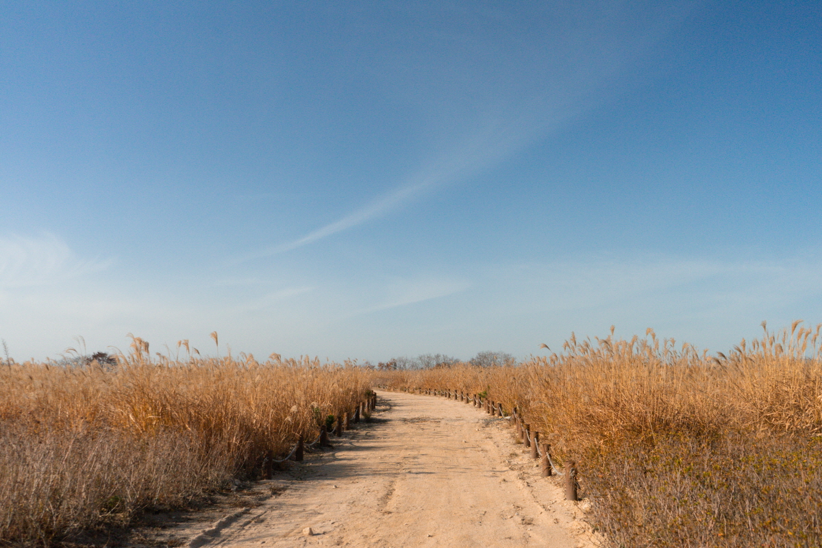 47cbd5ae1cd6b1bc289570483af93f77_1754412717_63.jpg 47cbd5ae1cd6b1bc289570483af93f77_1754412717_63.jpg