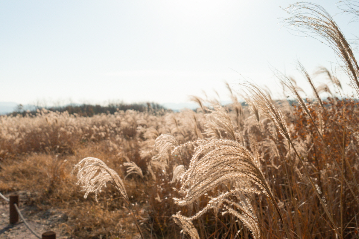 47cbd5ae1cd6b1bc289570483af93f77_1754412717_8.jpg 47cbd5ae1cd6b1bc289570483af93f77_1754412717_8.jpg