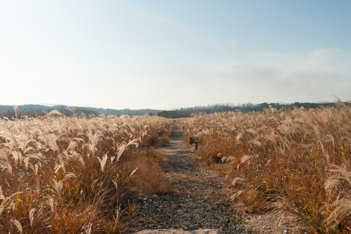 47cbd5ae1cd6b1bc289570483af93f77_1754412718.jpg 47cbd5ae1cd6b1bc289570483af93f77_1754412718.jpg