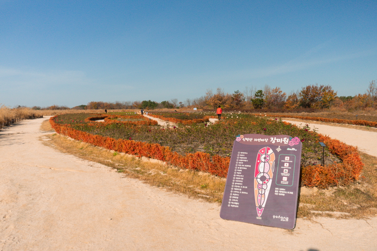 47cbd5ae1cd6b1bc289570483af93f77_1754412718_21.jpg 47cbd5ae1cd6b1bc289570483af93f77_1754412718_21.jpg