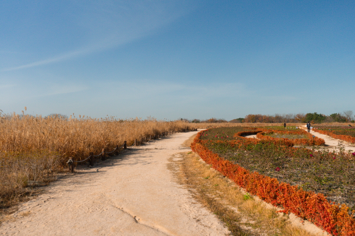 47cbd5ae1cd6b1bc289570483af93f77_1754412718_46.jpg 47cbd5ae1cd6b1bc289570483af93f77_1754412718_46.jpg