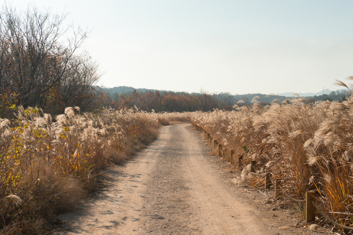 47cbd5ae1cd6b1bc289570483af93f77_1754412718_69.jpg 47cbd5ae1cd6b1bc289570483af93f77_1754412718_69.jpg