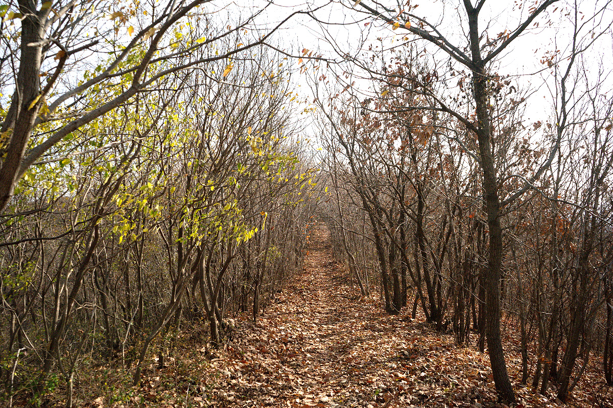 47cbd5ae1cd6b1bc289570483af93f77_1754413425_04.jpg 47cbd5ae1cd6b1bc289570483af93f77_1754413425_04.jpg