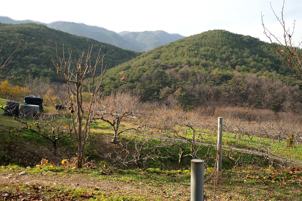 47cbd5ae1cd6b1bc289570483af93f77_1754413970_46.jpg 47cbd5ae1cd6b1bc289570483af93f77_1754413970_46.jpg