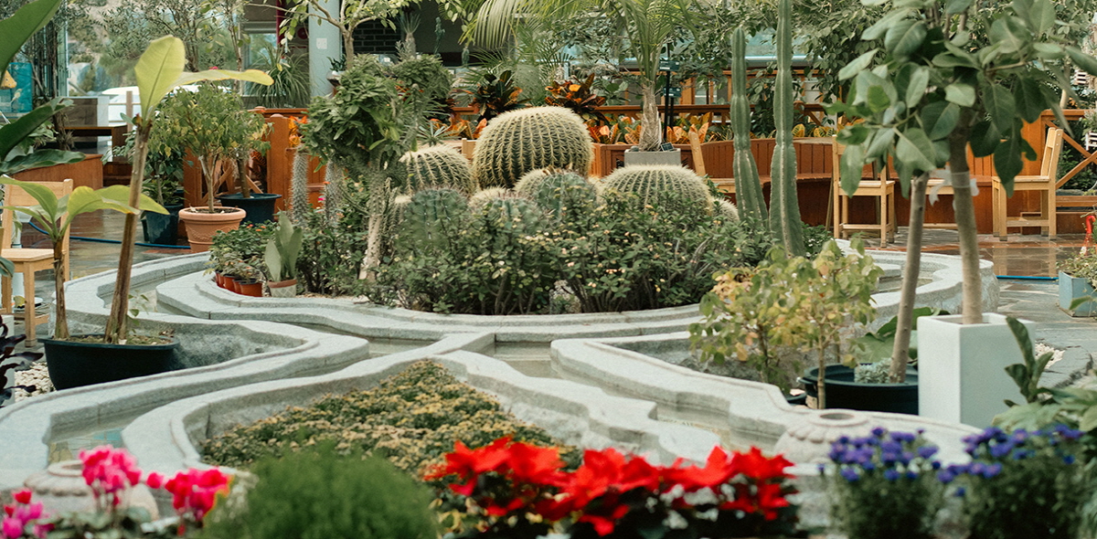 47cbd5ae1cd6b1bc289570483af93f77_1754416487_7.jpg 47cbd5ae1cd6b1bc289570483af93f77_1754416487_7.jpg