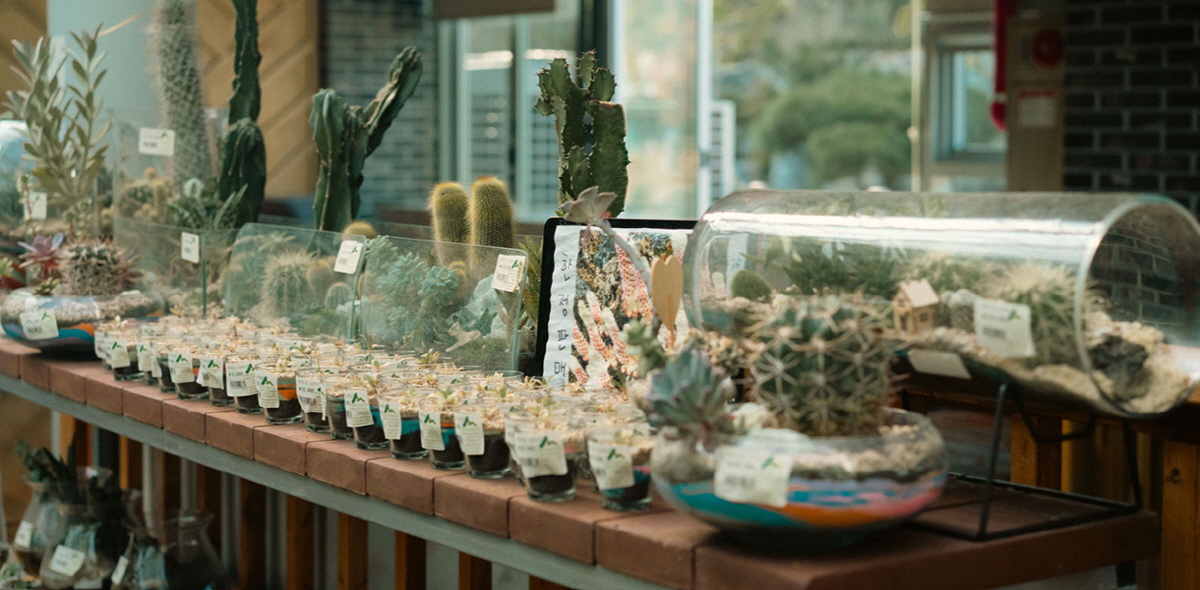 47cbd5ae1cd6b1bc289570483af93f77_1754416488_36.jpg 47cbd5ae1cd6b1bc289570483af93f77_1754416488_36.jpg