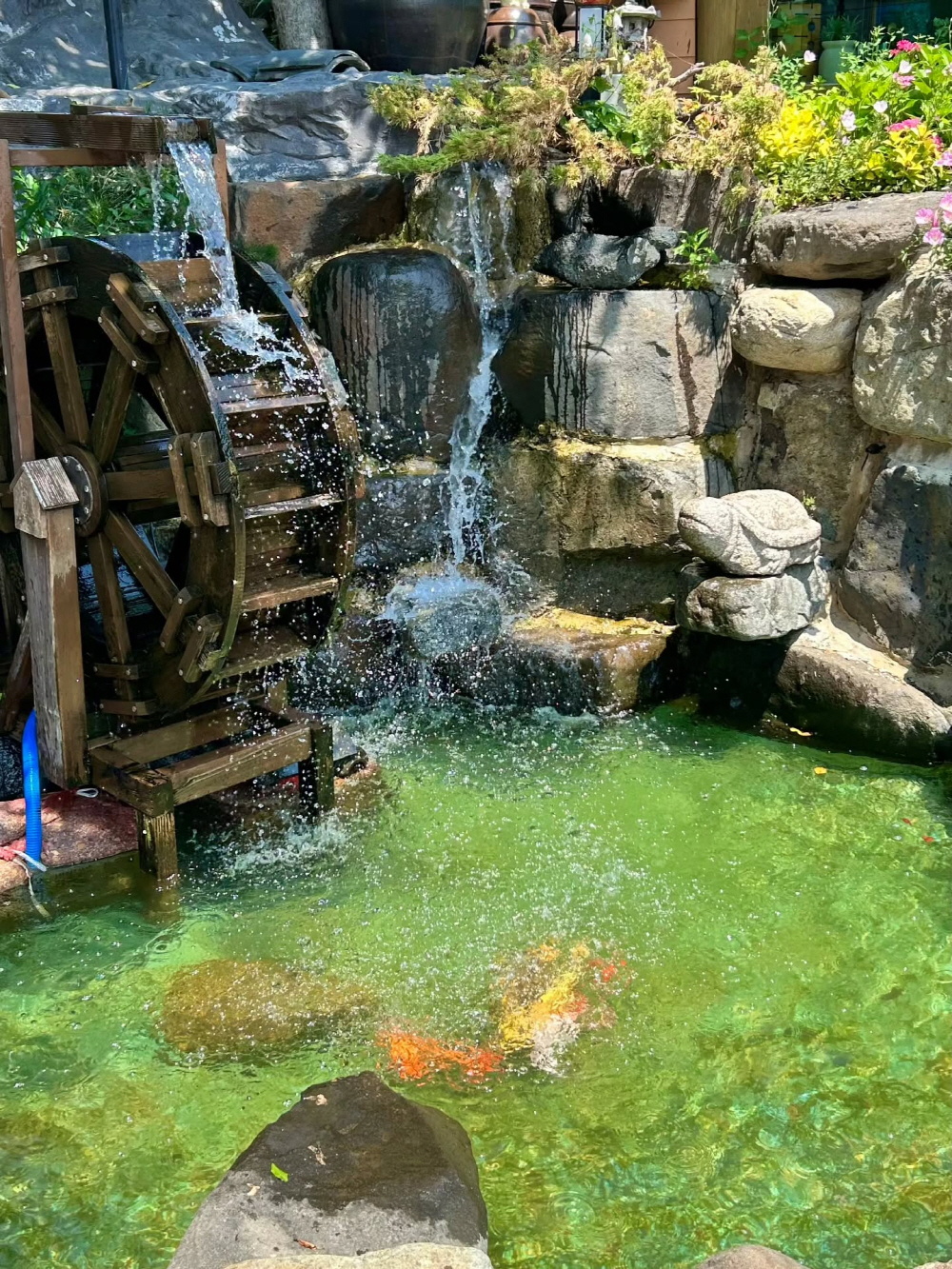 58705aca1264b7691b1656df0b558cbe_1756515493_61.jpg 58705aca1264b7691b1656df0b558cbe_1756515493_61.jpg