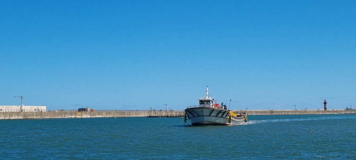 98047ab65484089452c0385bf985f73c_1754296416_52.jpg 98047ab65484089452c0385bf985f73c_1754296416_52.jpg