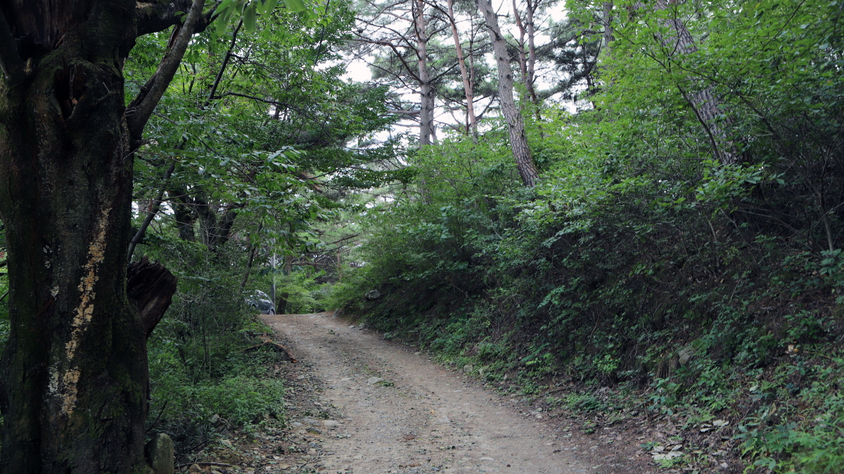 98047ab65484089452c0385bf985f73c_1754304936_68.jpg 98047ab65484089452c0385bf985f73c_1754304936_68.jpg