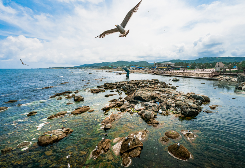 98047ab65484089452c0385bf985f73c_1754306786_25.jpg 98047ab65484089452c0385bf985f73c_1754306786_25.jpg