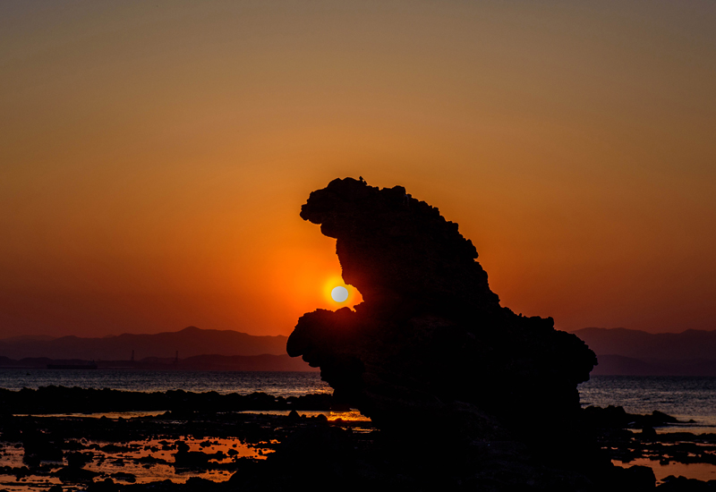 98047ab65484089452c0385bf985f73c_1754306789_95.jpg 98047ab65484089452c0385bf985f73c_1754306789_95.jpg