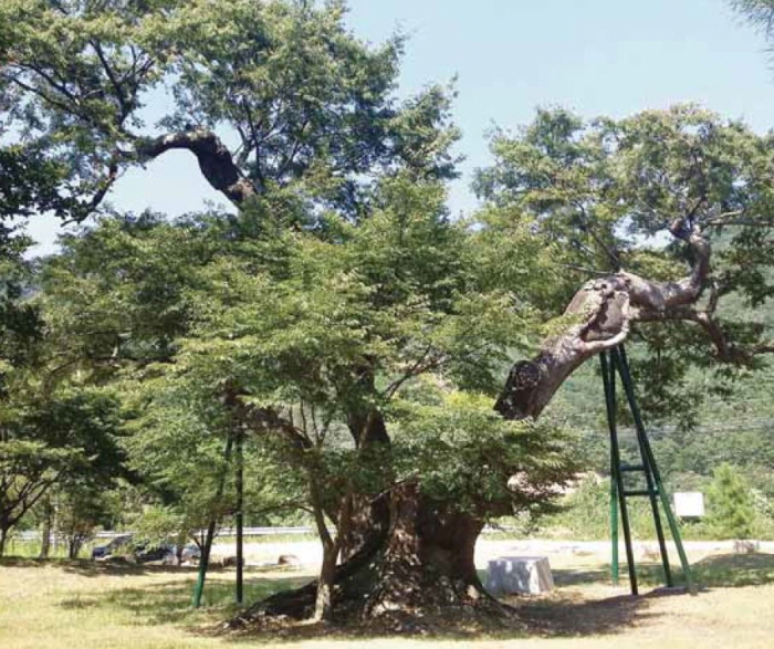 aa580c413d8e89b332069ebb415b05cc_1754368246_74.jpg aa580c413d8e89b332069ebb415b05cc_1754368246_74.jpg