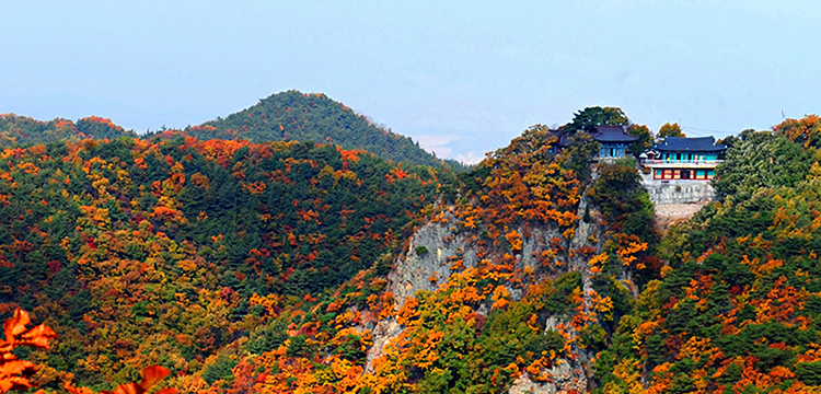 edbeafae8608b9877c30e3989a00ed79_1754027497_64.jpg edbeafae8608b9877c30e3989a00ed79_1754027497_64.jpg