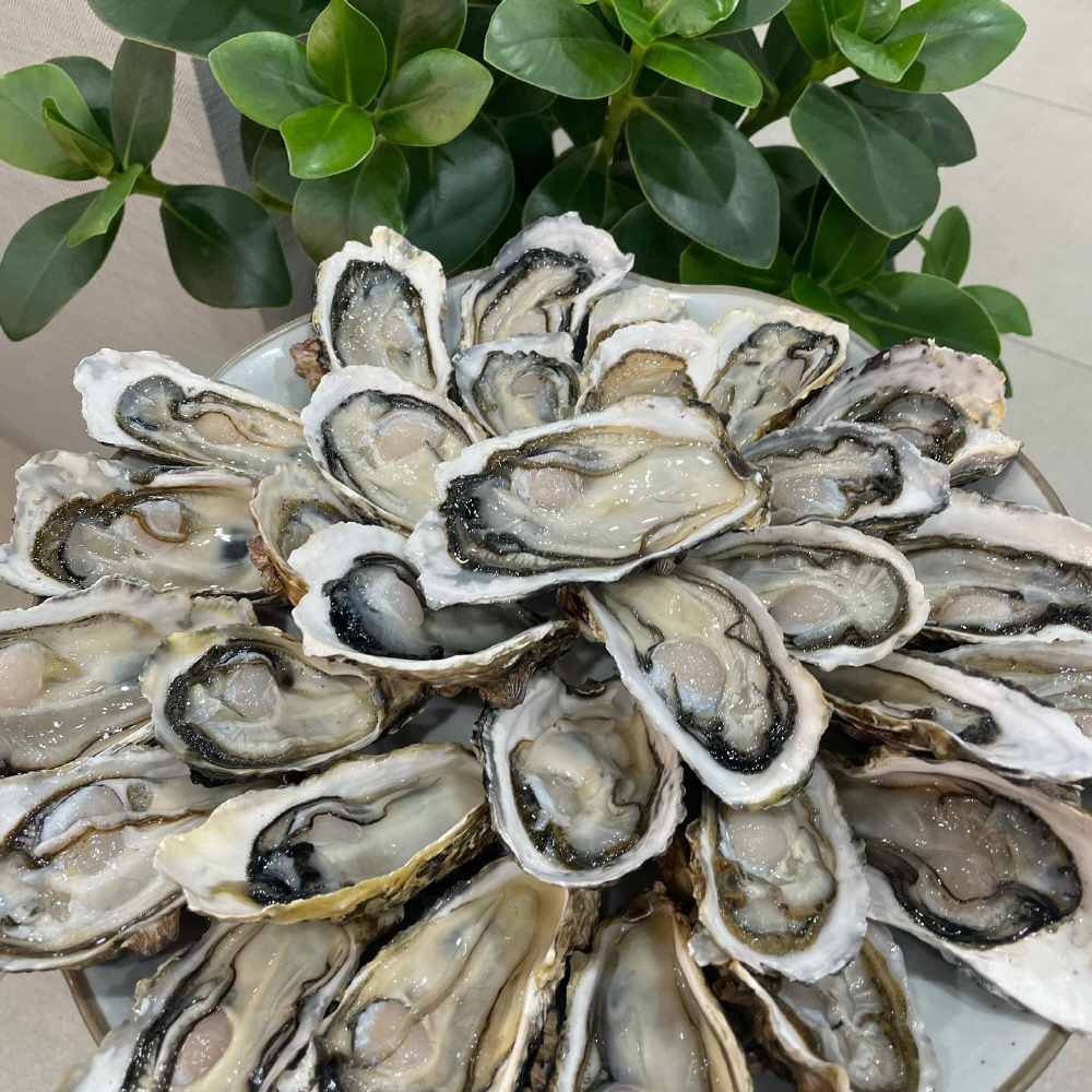 ef2fd424ed676f2d206728e191609955_1754568460_49.jpg ef2fd424ed676f2d206728e191609955_1754568460_49.jpg