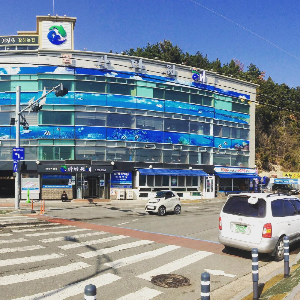 ef2fd424ed676f2d206728e191609955_1754568460_84.jpg ef2fd424ed676f2d206728e191609955_1754568460_84.jpg