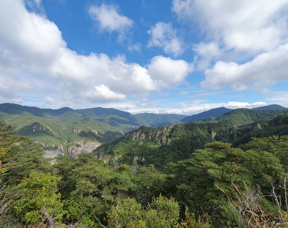 28383e92be101fbfae3b67d03e169b79_1758223308_1.jpg 28383e92be101fbfae3b67d03e169b79_1758223308_1.jpg