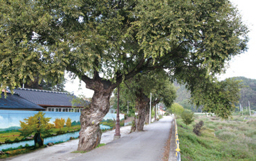 28383e92be101fbfae3b67d03e169b79_1758231251_09.jpg 28383e92be101fbfae3b67d03e169b79_1758231251_09.jpg