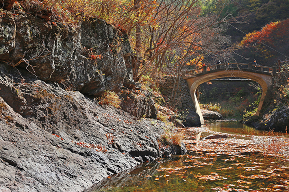 28383e92be101fbfae3b67d03e169b79_1758236799_15.png 28383e92be101fbfae3b67d03e169b79_1758236799_15.png