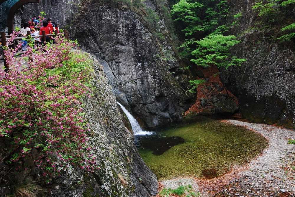 28383e92be101fbfae3b67d03e169b79_1758237195_58.jpg 28383e92be101fbfae3b67d03e169b79_1758237195_58.jpg