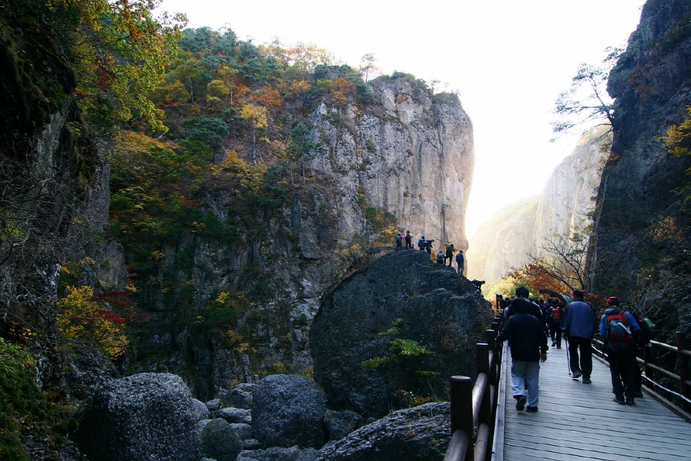 28383e92be101fbfae3b67d03e169b79_1758237196.jpg 28383e92be101fbfae3b67d03e169b79_1758237196.jpg