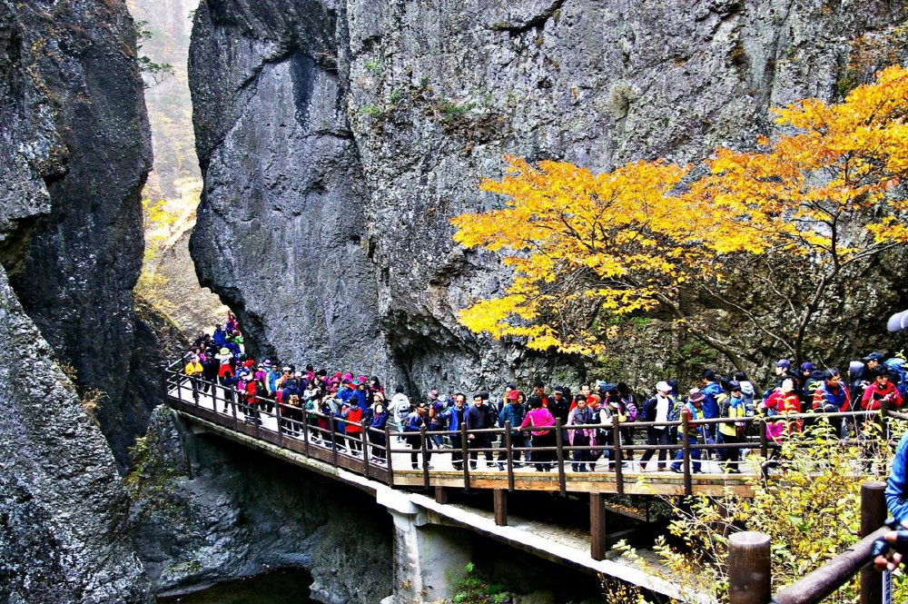 28383e92be101fbfae3b67d03e169b79_1758237196_94.jpg 28383e92be101fbfae3b67d03e169b79_1758237196_94.jpg