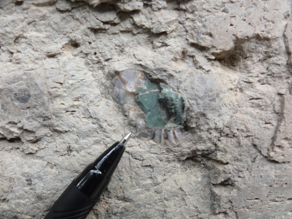 28383e92be101fbfae3b67d03e169b79_1758238455_42.jpg 28383e92be101fbfae3b67d03e169b79_1758238455_42.jpg