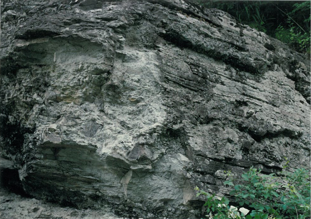 28383e92be101fbfae3b67d03e169b79_1758239901_76.jpg 28383e92be101fbfae3b67d03e169b79_1758239901_76.jpg