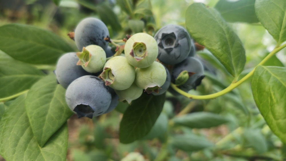 29f317af8c5f6525ada83d7ef129615e_1757487321_69.jpg 29f317af8c5f6525ada83d7ef129615e_1757487321_69.jpg