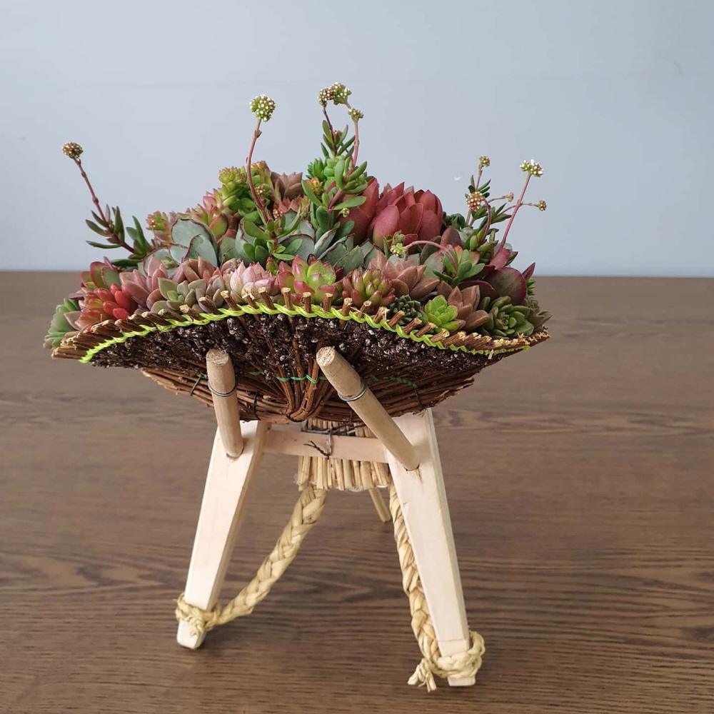 29f317af8c5f6525ada83d7ef129615e_1757490537_32.jpg 29f317af8c5f6525ada83d7ef129615e_1757490537_32.jpg