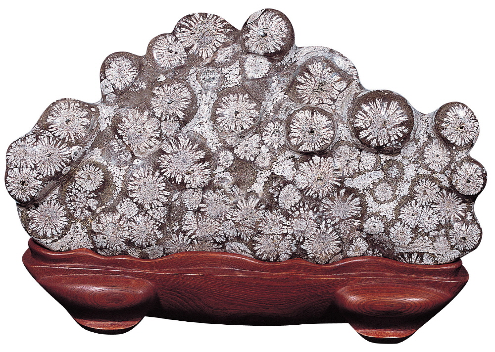 46cf04c82205c4953835bdb8f6626ad0_1758279087_56.jpg 46cf04c82205c4953835bdb8f6626ad0_1758279087_56.jpg