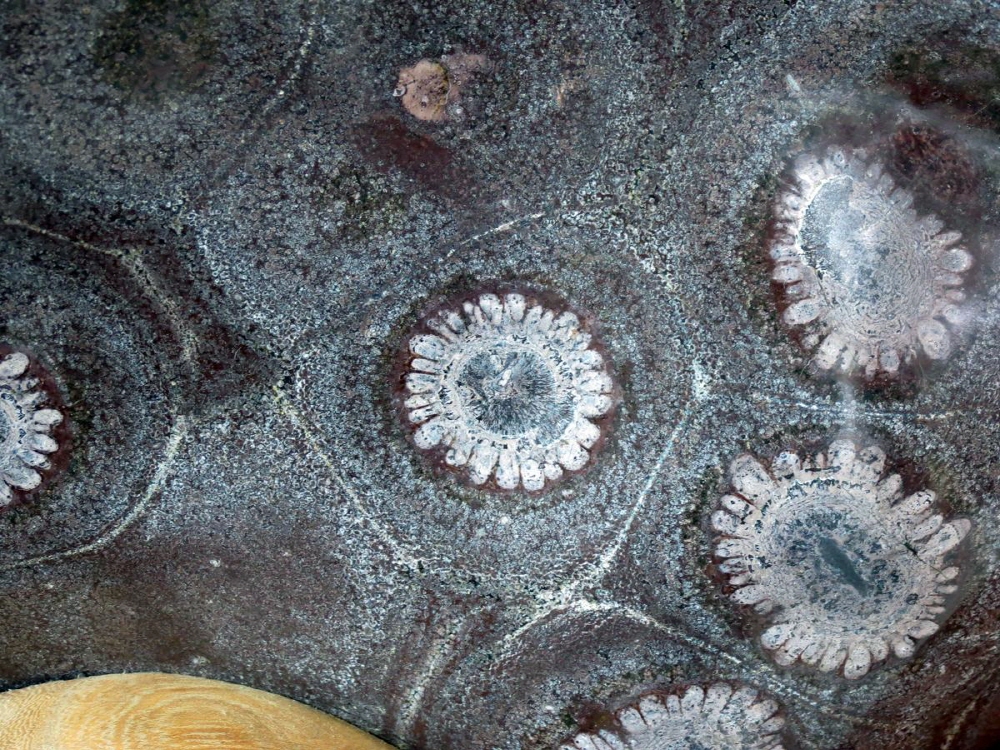 46cf04c82205c4953835bdb8f6626ad0_1758279087_89.jpg 46cf04c82205c4953835bdb8f6626ad0_1758279087_89.jpg