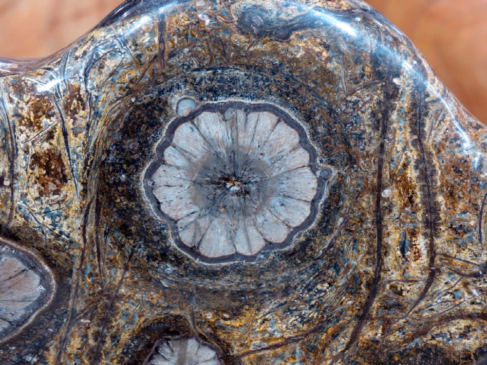 46cf04c82205c4953835bdb8f6626ad0_1758279088_08.jpg 46cf04c82205c4953835bdb8f6626ad0_1758279088_08.jpg